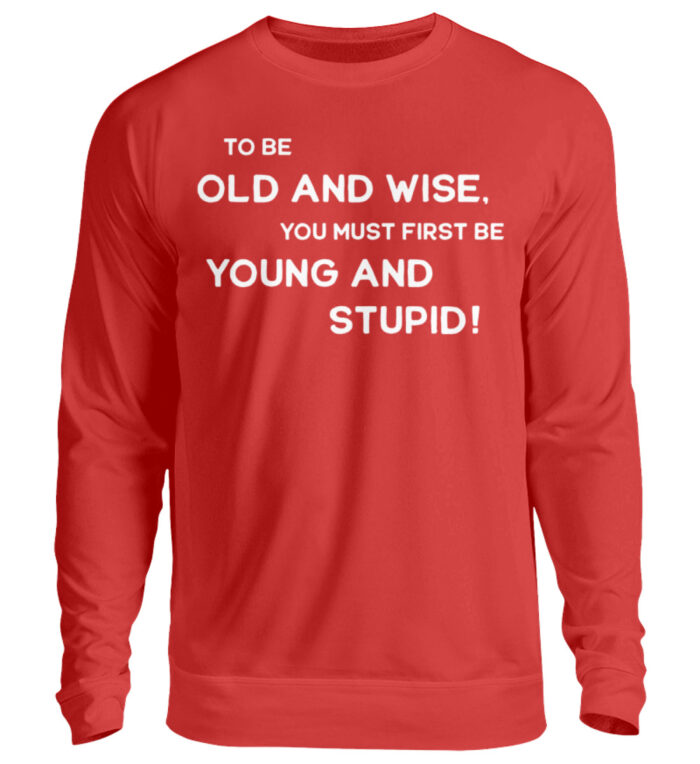To Be Old And Wise - Unisex Pullover-1565